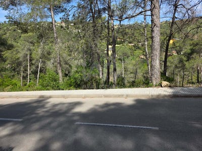 /international/es/olesa-de-bonesvalls-catalonia-310101106675/