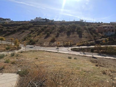 /international/es/zubia-la-andalusia-310099249660/