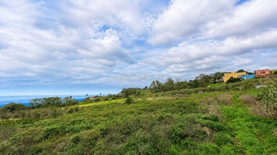 /international/es/tacoronte-canary-islands-310108455480/