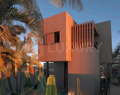 /international/es/guia-de-isora-canary-islands-310107950236/