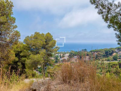 /international/es/blanes-catalonia-310105305828/