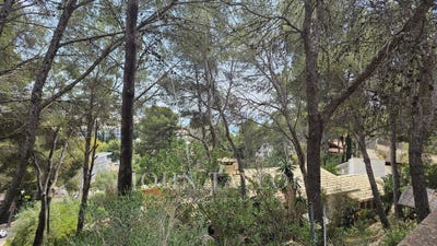 /international/es/peguera-balearic-islands-310108244533/