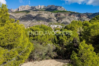 /international/es/altea-valencian-community-310103428529/