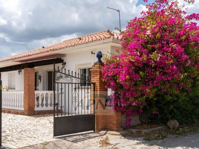 /international/es/pizarra-andalusia-310106083061/