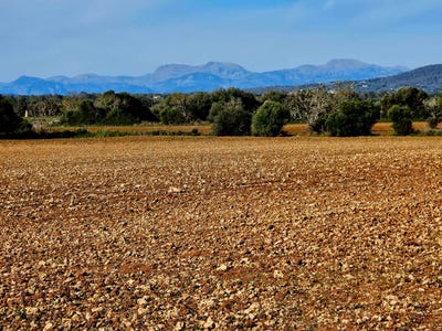 /international/es/1193-diseminado-primera-volta-felanitx-balearic-islands-310101735611/