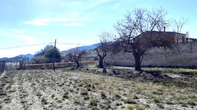 /international/es/monovar-monover-valencian-community-310101351995/