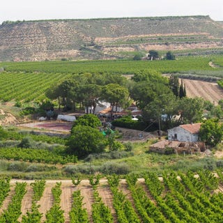 /international/es/fraga-aragon-310107922351/