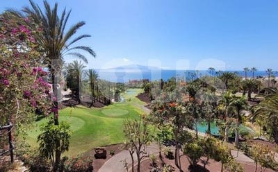 /international/es/tenerife-valencian-community-120083899535/