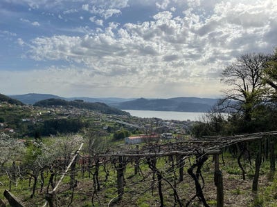 /international/es/vilaboa-galicia-310106263041/