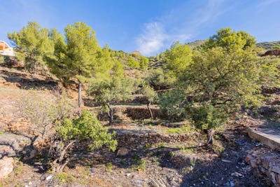 /international/es/chilches-xilxes-valencian-community-310105830937/