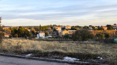 /international/es/calle-sauce-colmenar-de-oreja-madrid-310104180192/