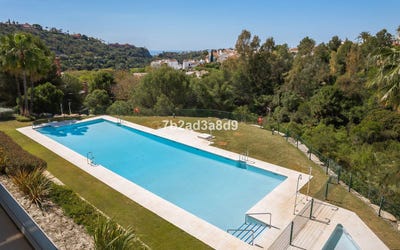 /international/es/malaga-andalusia-310100954065/