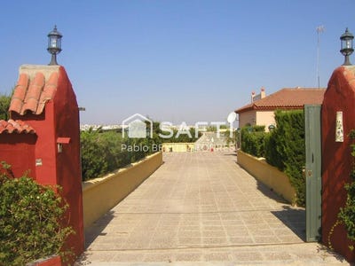 /international/es/chiclana-de-la-frontera-andalusia-310101277793/