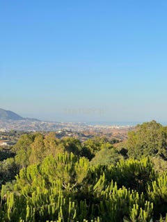 /international/es/ojen-andalusia-310100663950/?lang=zh-tw