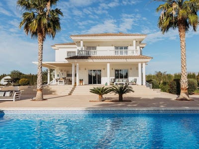/international/es/elche-valencian-community-310106627602/