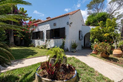 /international/es/palmas-de-gran-canaria-las-canary-islands-310103089471/