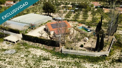 /international/es/onil-valencian-community-310107372376/