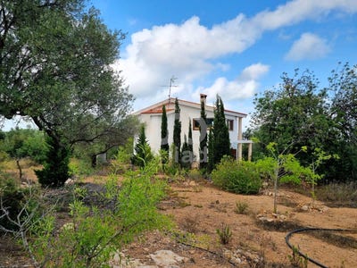 /international/es/sant-carles-de-la-rapita-catalonia-310101155232/