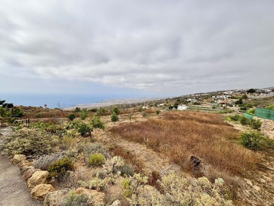 /international/es/fasnia-canary-islands-310100640809/