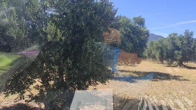/international/es/cantallops-catalonia-310097523755/