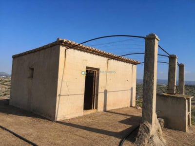 /international/es/beniganim-valencian-community-310107739078/