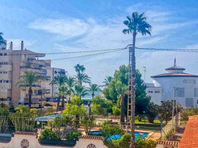 /international/es/alicante-valencian-community-310101494966/