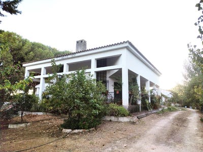 /international/es/beas-andalusia-310106777799/