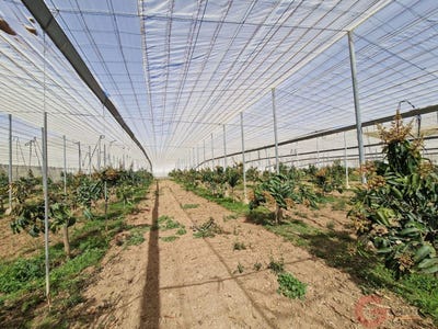 /international/es/molvizar-andalusia-310107599840/