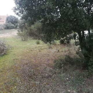/international/es/escalona-castile-la-mancha-310100645226/