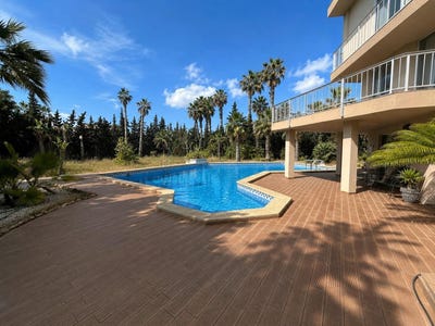 /international/es/ciudad-quesada-a-ciudad-quesada-valencian-community-310108924868/?lang=id