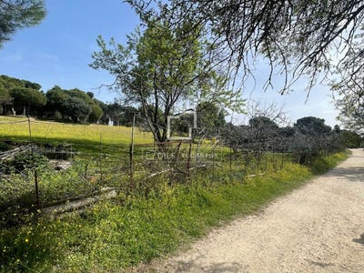 /international/es/majadahonda-madrid-120094889610/