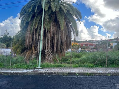 /international/es/palmas-de-gran-canaria-las-canary-islands-310095223857/