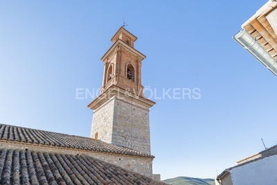 /international/es/alcublas-valencian-community-310100644619/