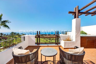 /international/es/guia-de-isora-canary-islands-310105997633/