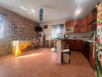 /international/es/diseminados-cabeza-de-la-grana-barbate-andalusia-310108599756/