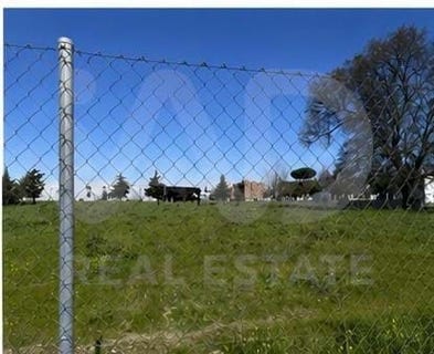/international/es/calle-clavileno-grin-madrid-310108270910/