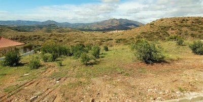 /international/es/mijas-andalusia-310104921485/