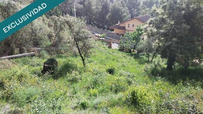 /international/es/cabrera-d-anoia-catalonia-310101280338/