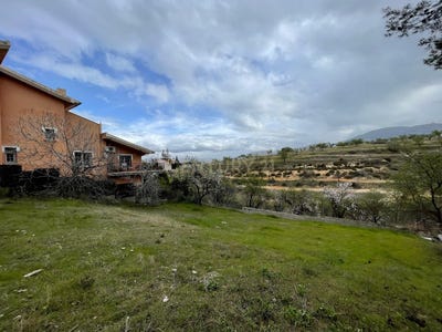 /international/es/gojar-andalusia-310101355457/