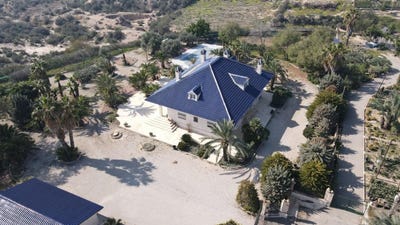 /international/es/elche-valencian-community-310108526949/