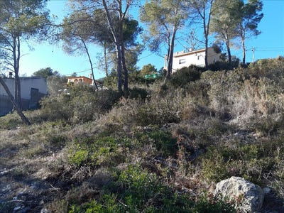 /international/es/olivella-catalonia-310103746576/