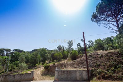 /international/es/tordera-catalonia-310100670941/