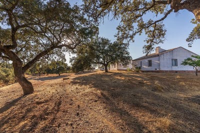 /international/es/calanas-andalusia-310105369491/