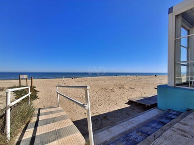 /international/es/oliva-valencian-community-310107756700/