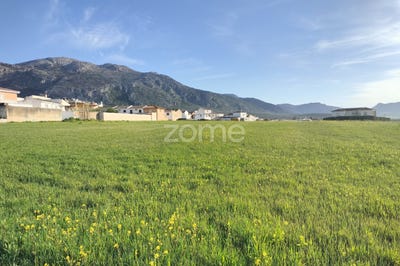 /international/es/camno-de-las-huertas-malaga-andalusia-120083698511/