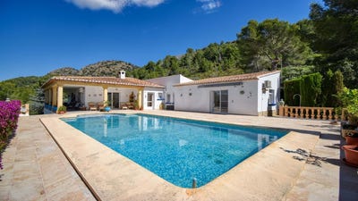 /international/es/pedreguer-valencian-community-310108264549/