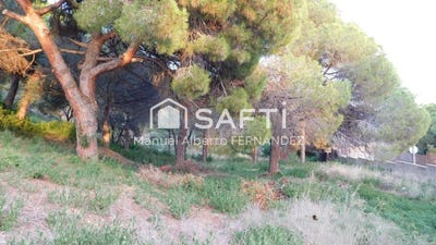 /international/es/mataro-catalonia-310105745508/