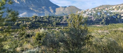 /international/es/adsubia-valencian-community-310108831285/
