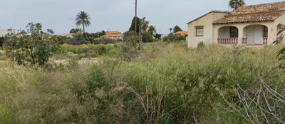 /international/es/els-poblets-valencian-community-310108835996/