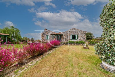 /international/es/la-concepcion-ye-canary-islands-310101206362/?lang=de